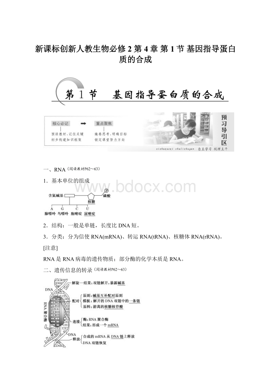 新课标创新人教生物必修2第4章 第1节 基因指导蛋白质的合成.docx_第1页