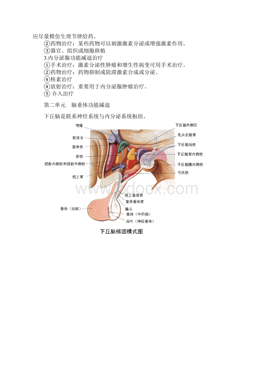 临床执业助理医师内分泌系统.docx_第3页