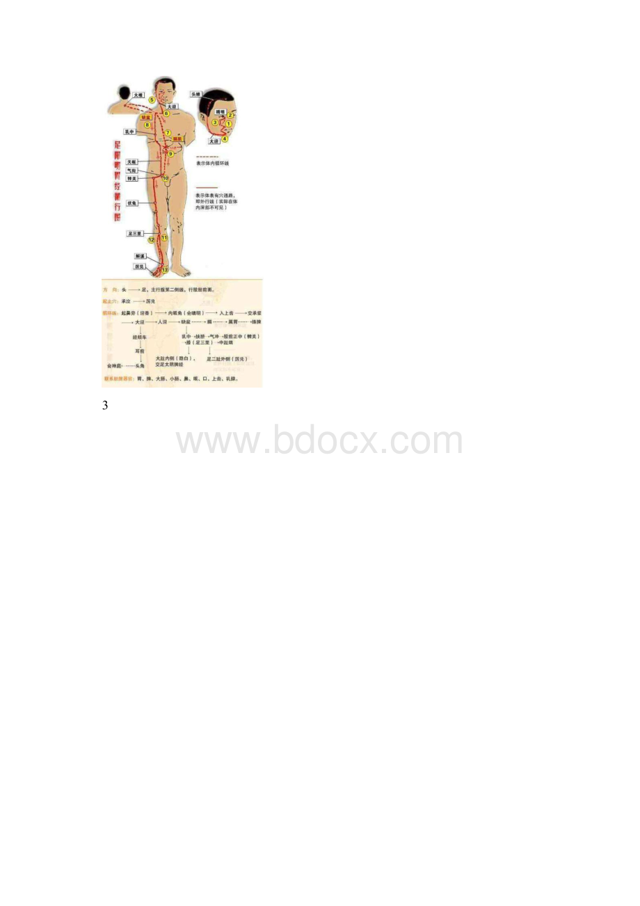 十二经脉与奇经八脉循行路线文档格式.docx_第3页