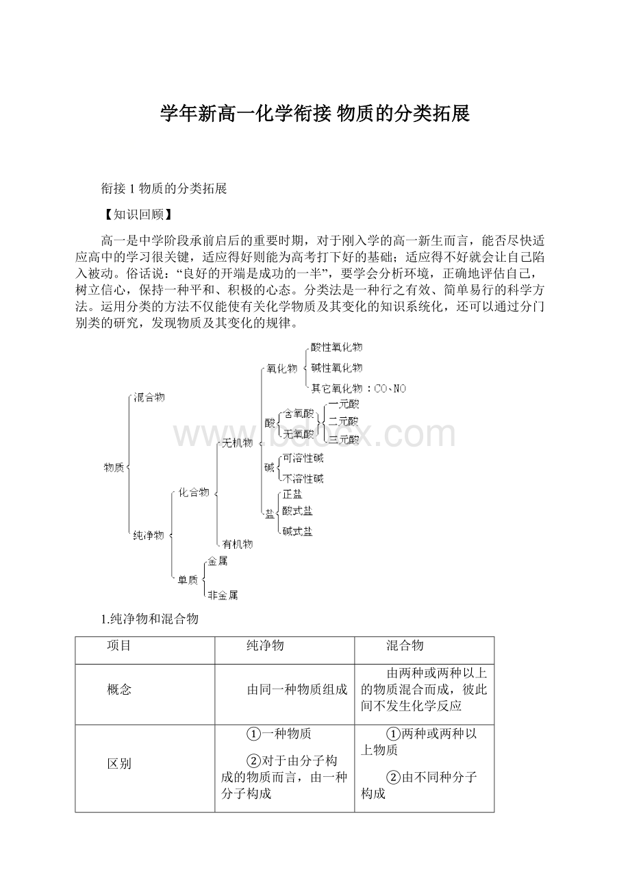 学年新高一化学衔接 物质的分类拓展.docx