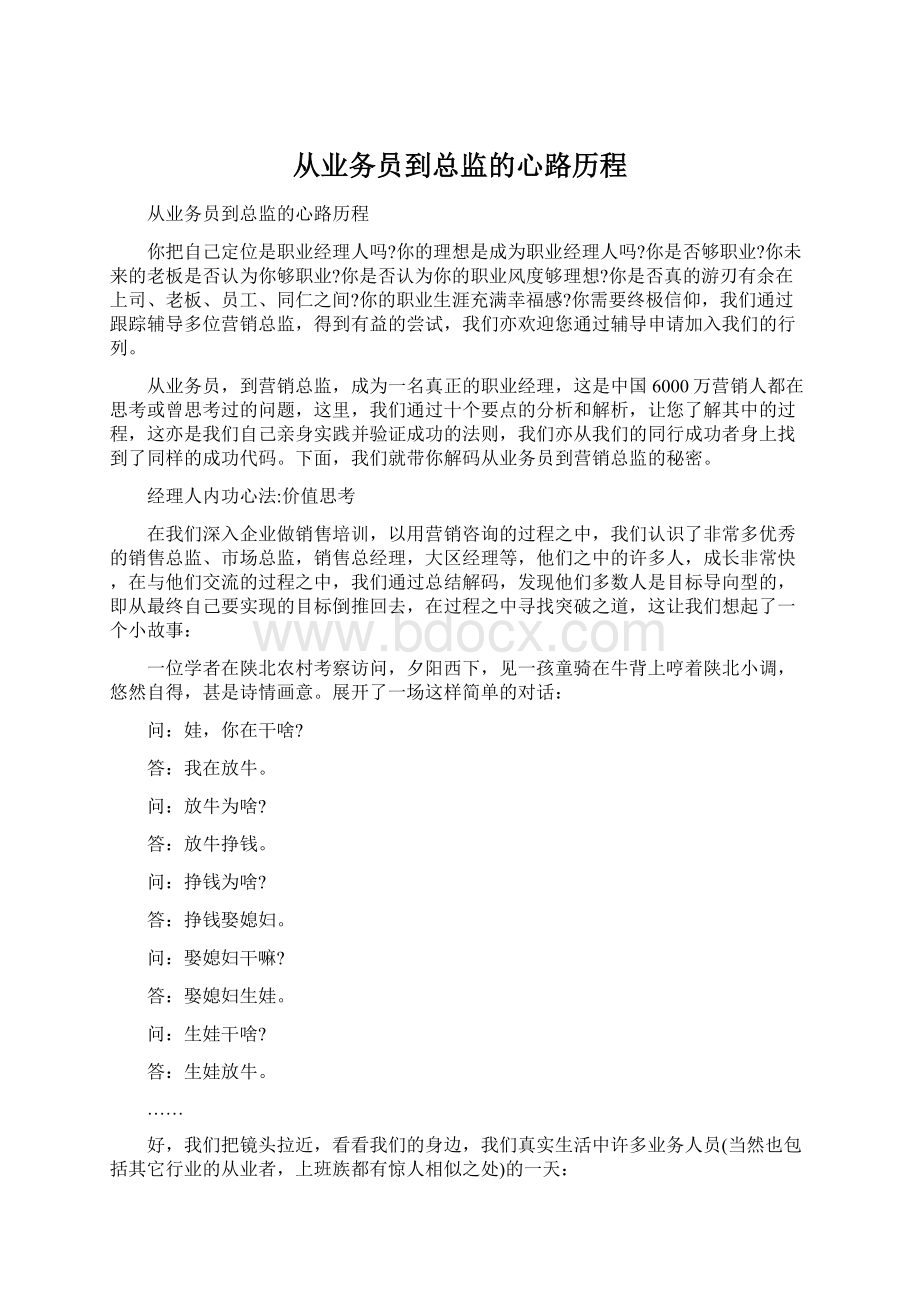 从业务员到总监的心路历程.docx_第1页