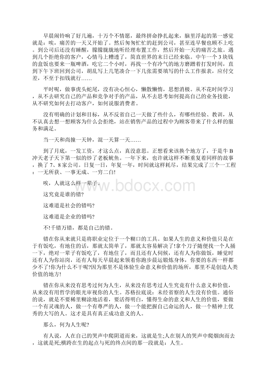 从业务员到总监的心路历程.docx_第2页