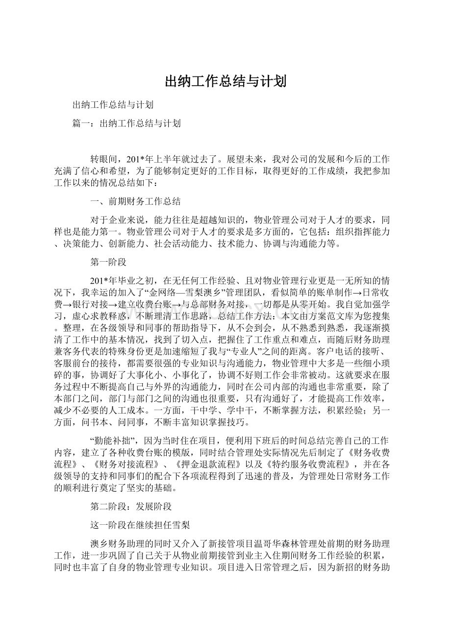 出纳工作总结与计划.docx