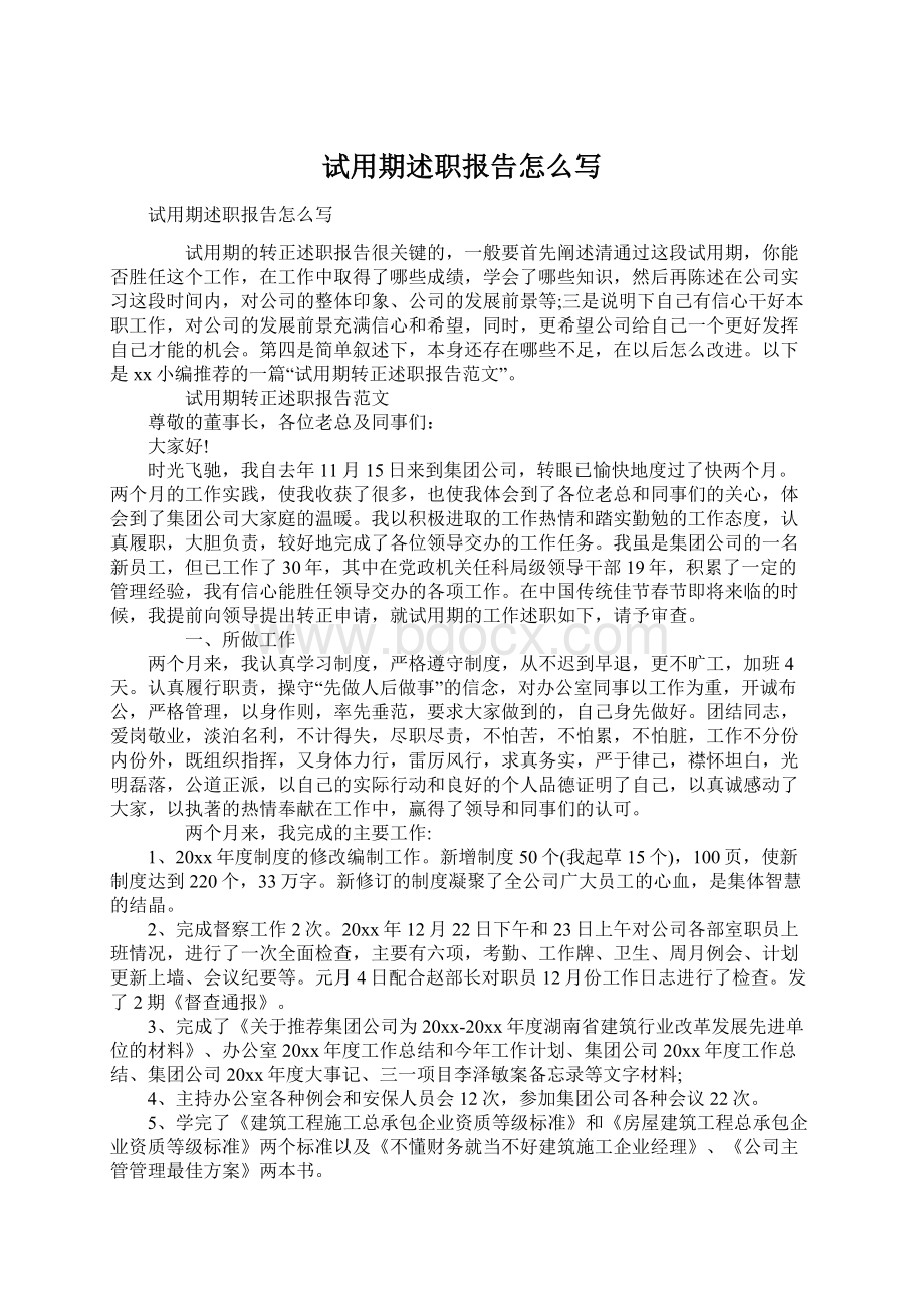 试用期述职报告怎么写文档格式.docx_第1页