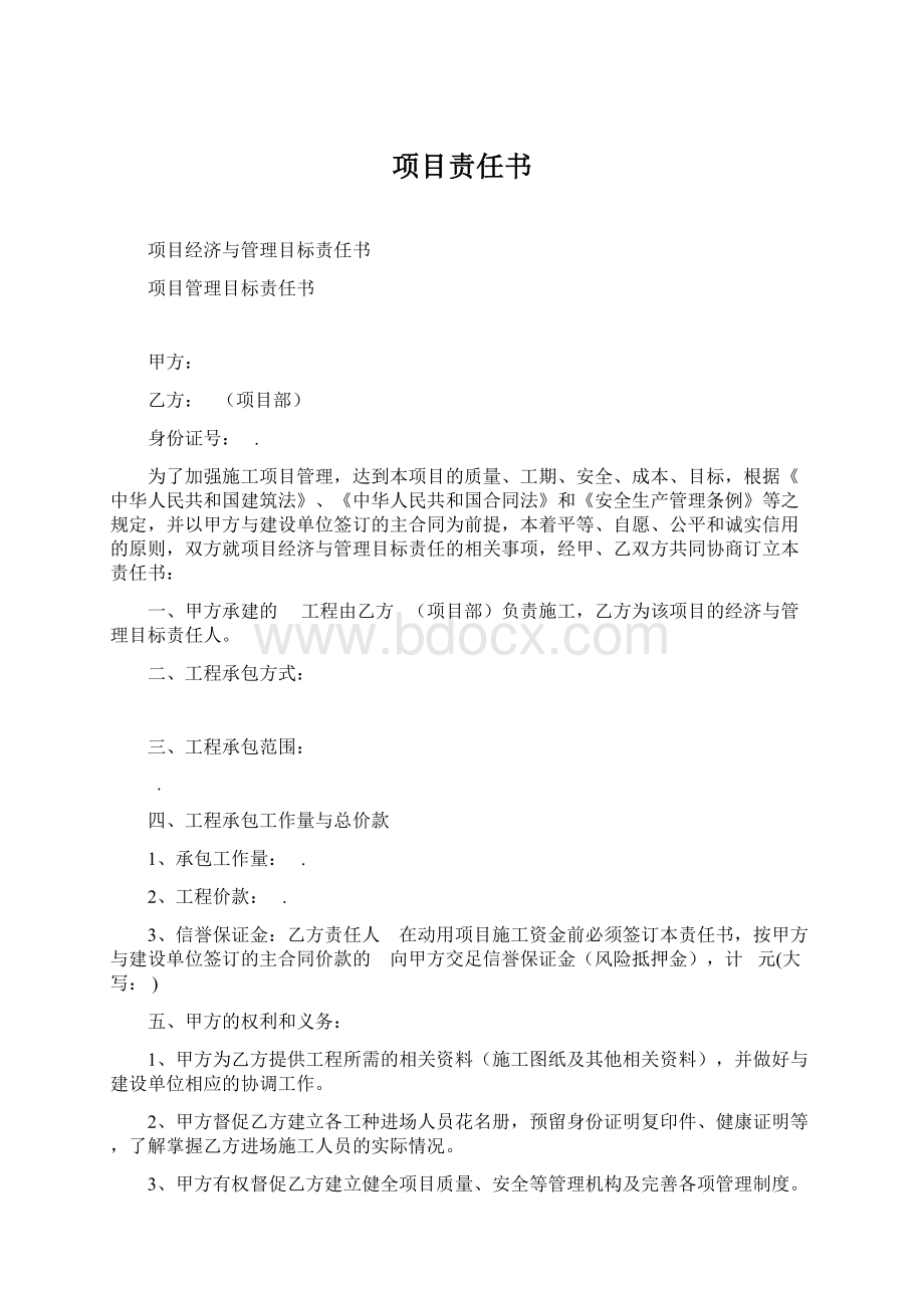 项目责任书Word文件下载.docx