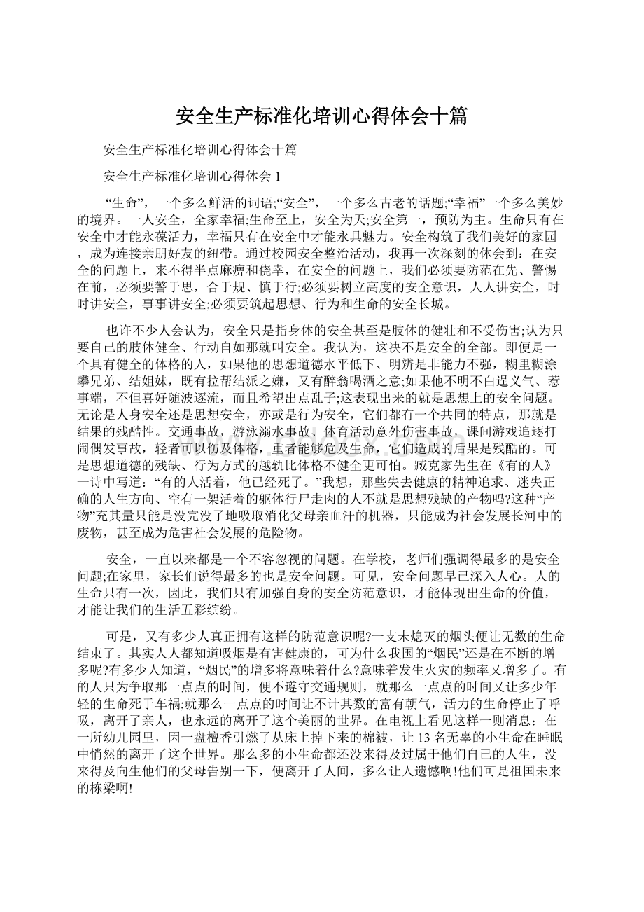 安全生产标准化培训心得体会十篇Word文档下载推荐.docx