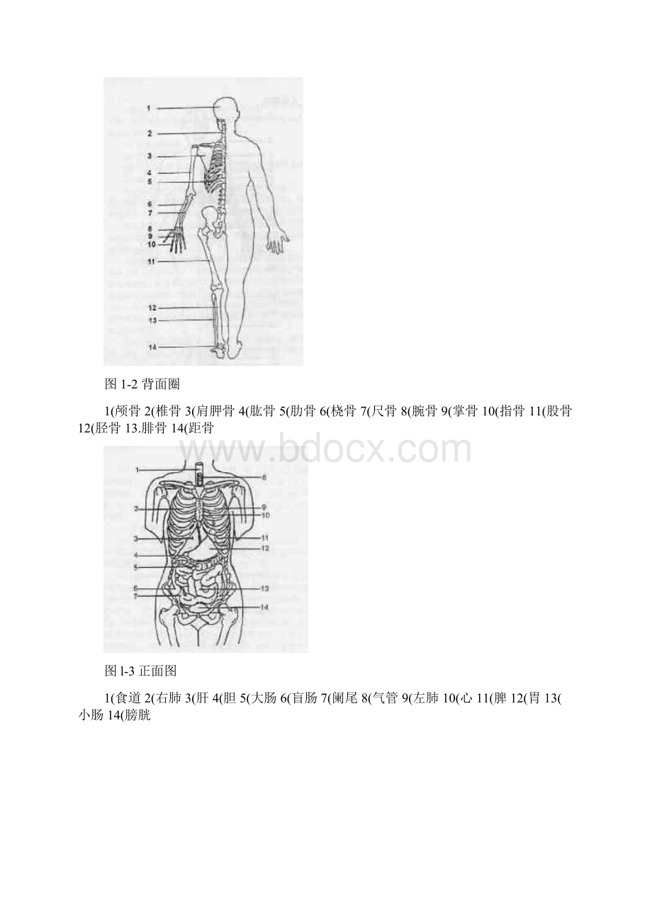 急救知识海上基本急救概述.docx_第3页