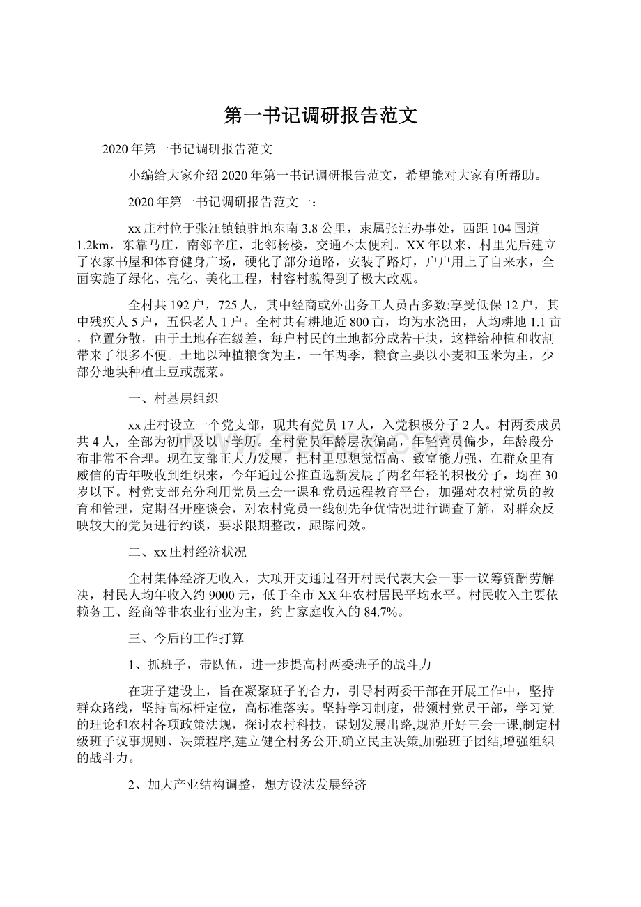 第一书记调研报告范文文档格式.docx