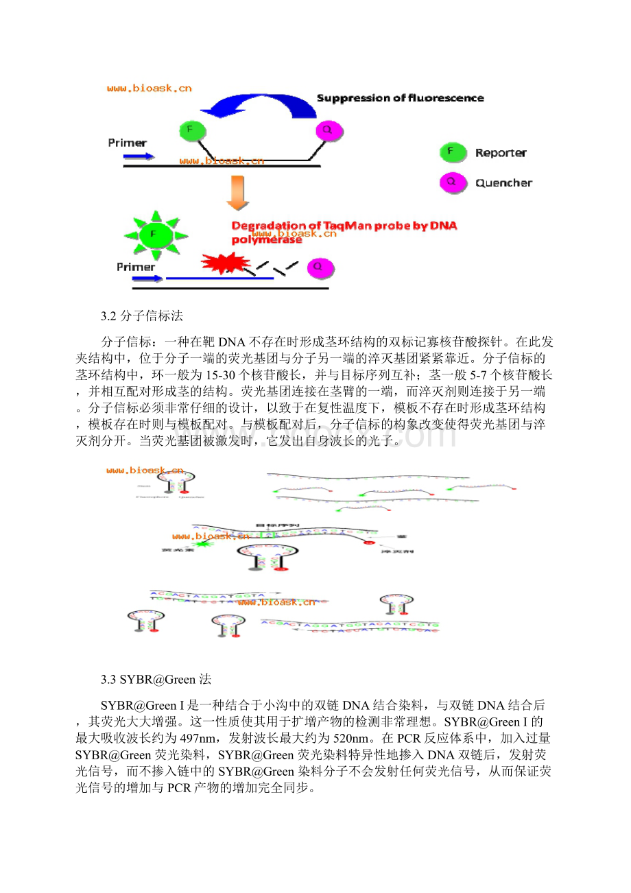 QPCR原理及应用Word格式文档下载.docx_第3页