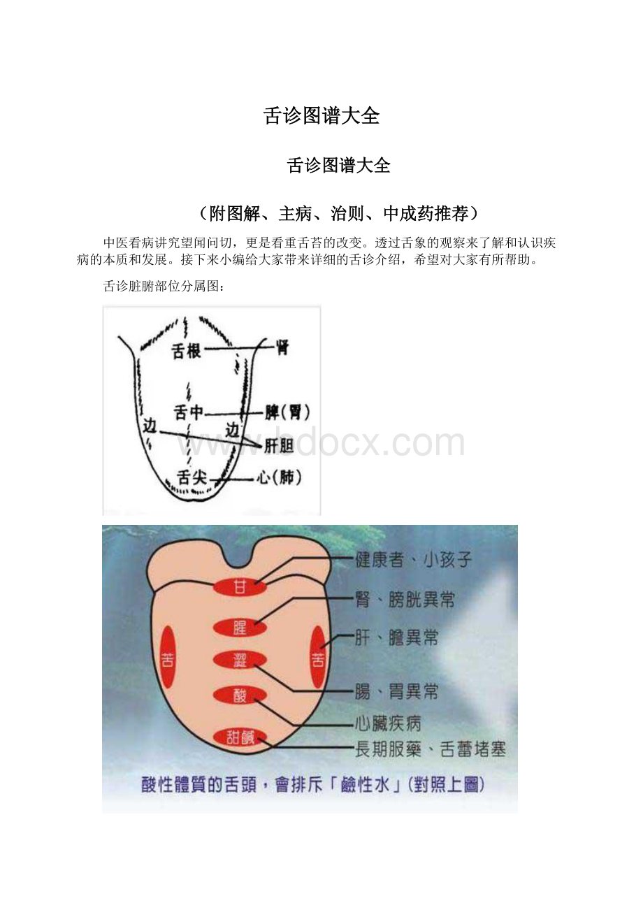 舌诊图谱大全Word下载.docx