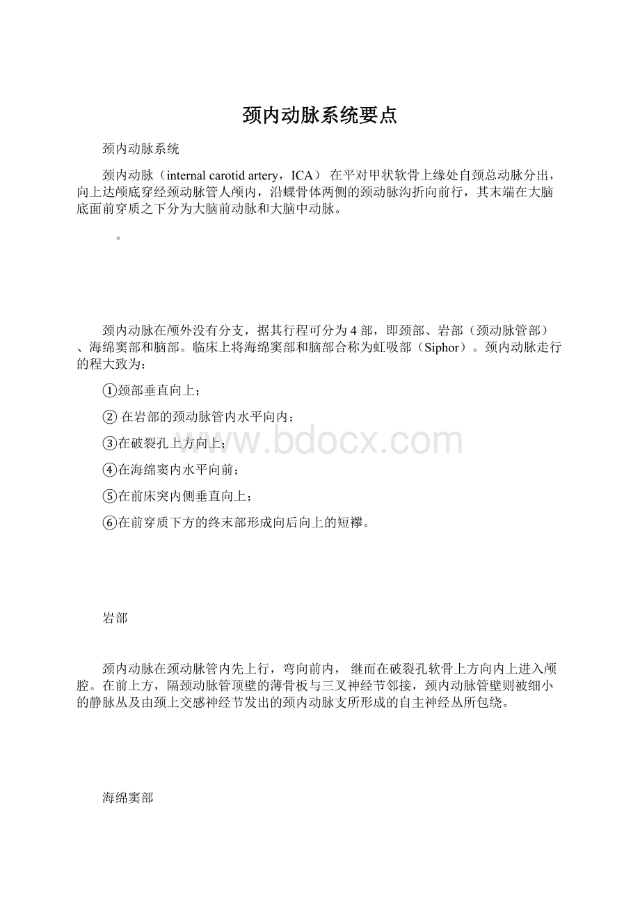 颈内动脉系统要点Word文档下载推荐.docx