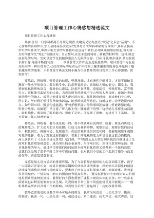 项目管理工作心得感想精选范文Word格式.docx