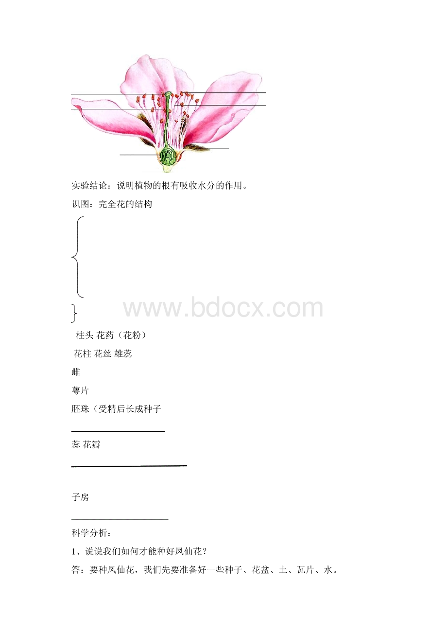 三年级下册总复习彩Word文档下载推荐.docx_第3页