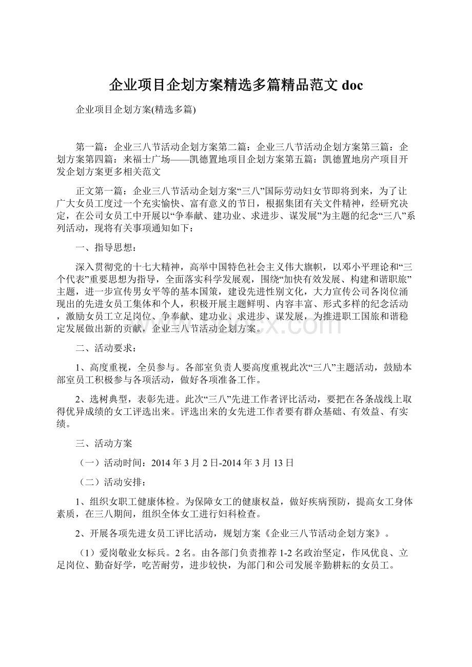 企业项目企划方案精选多篇精品范文doc.docx