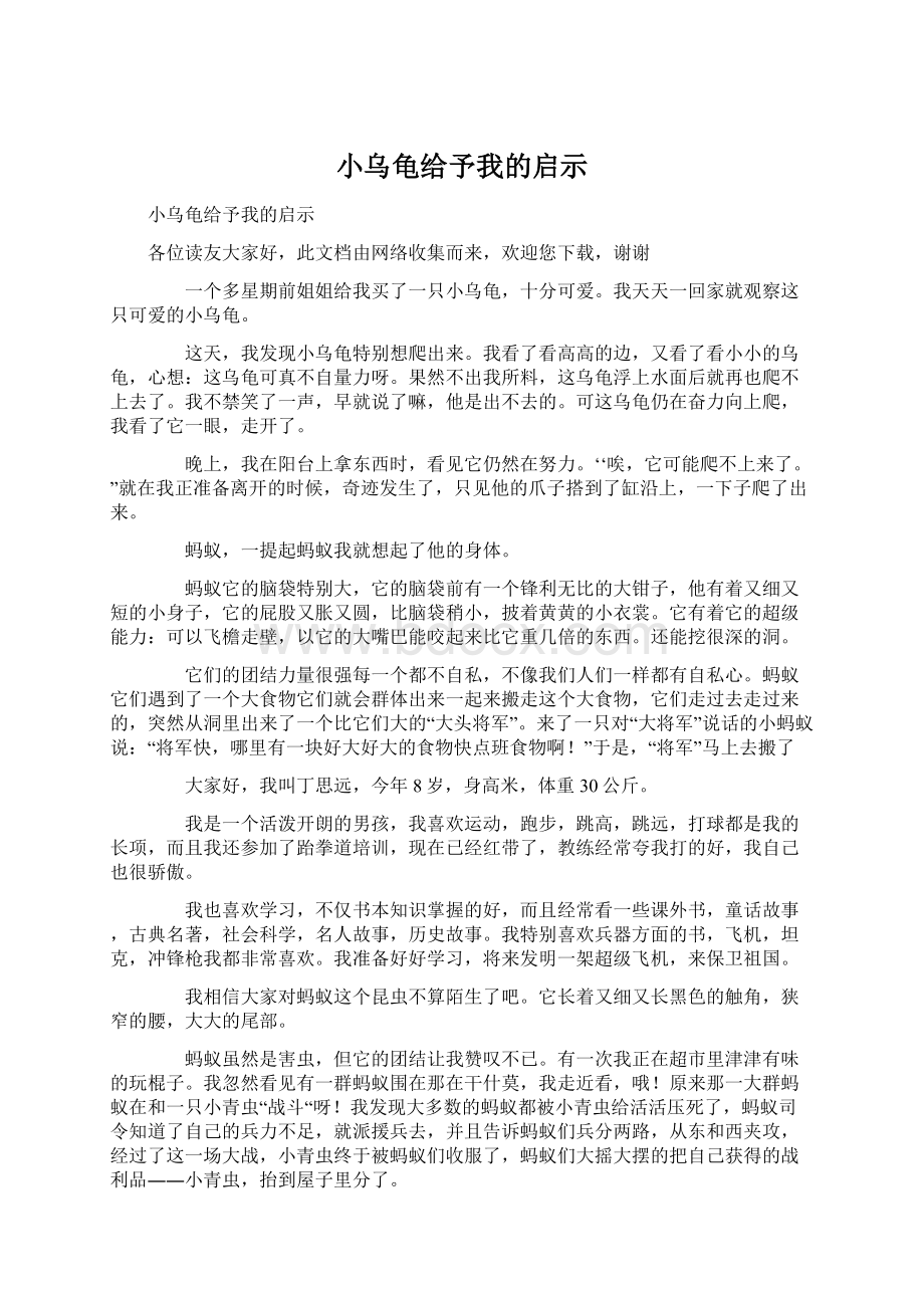 小乌龟给予我的启示.docx_第1页