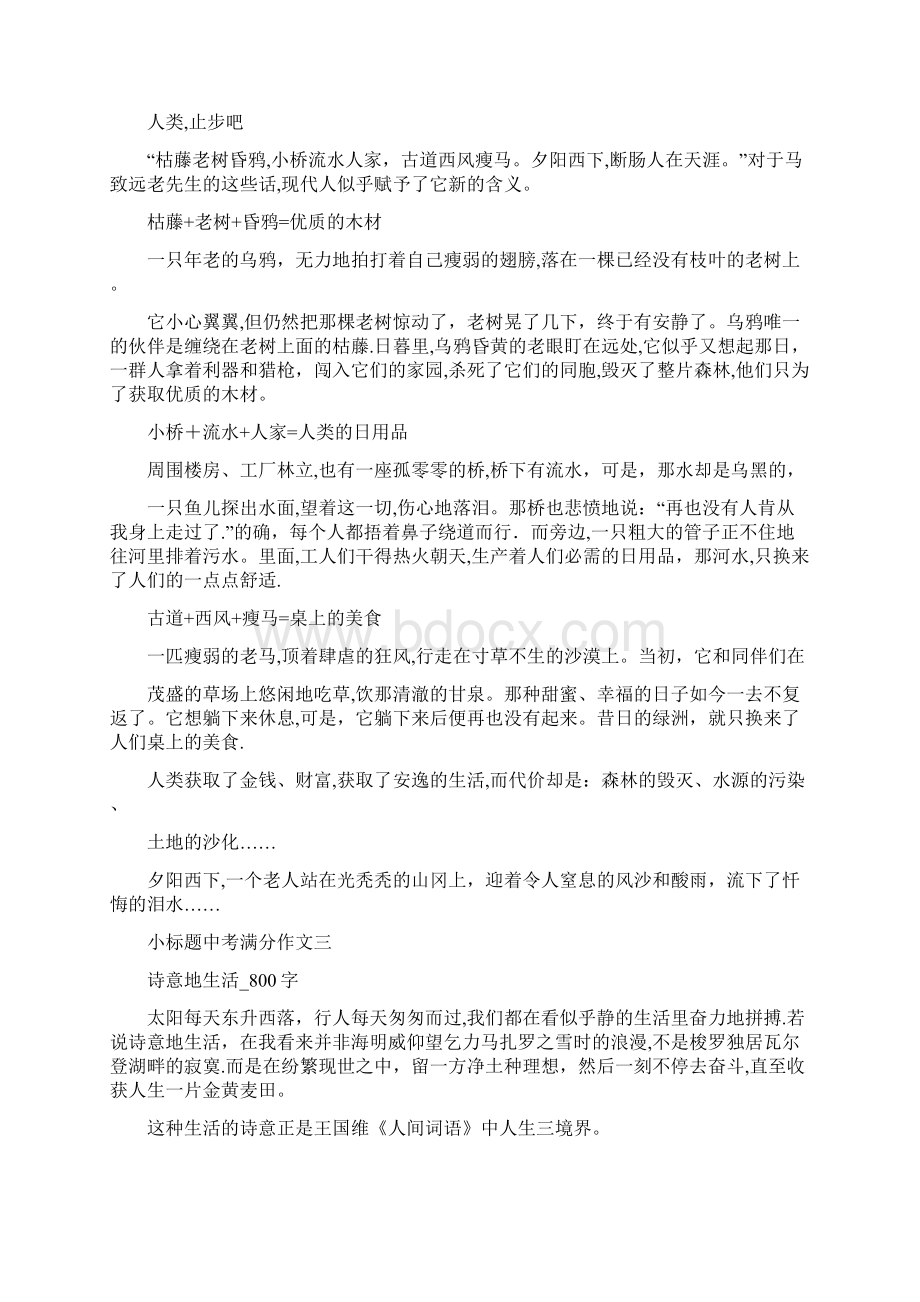 小标题中考满分作文十篇.docx_第2页