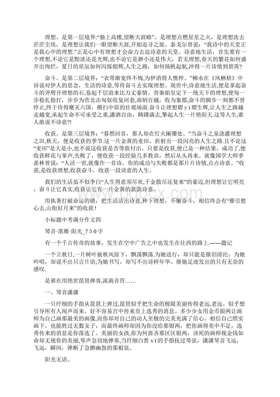 小标题中考满分作文十篇Word格式文档下载.docx_第3页