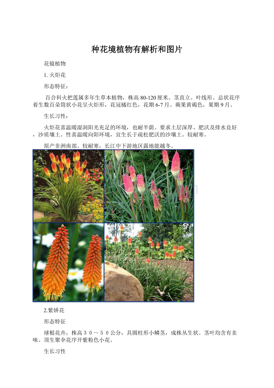 种花境植物有解析和图片.docx_第1页