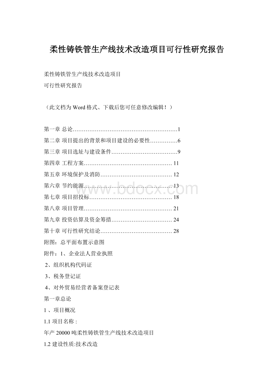 柔性铸铁管生产线技术改造项目可行性研究报告.docx_第1页