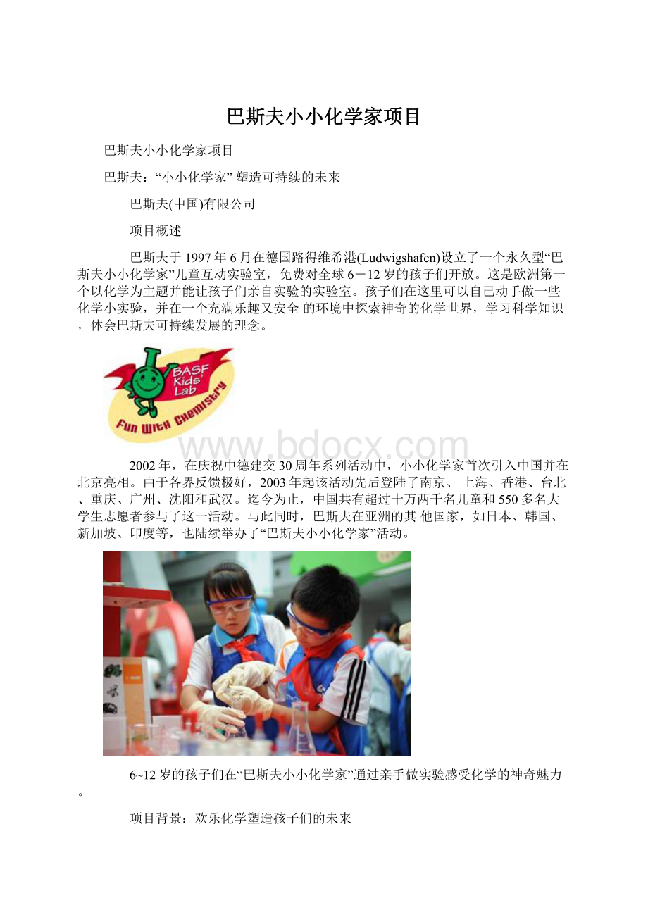 巴斯夫小小化学家项目.docx