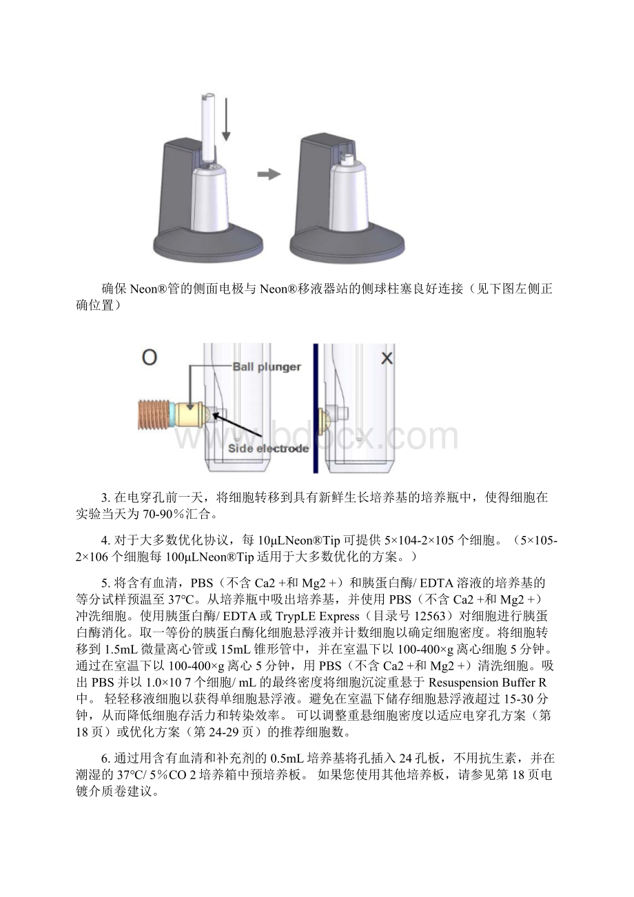 Neon细胞电转仪中文说明书MPK5000.docx_第3页