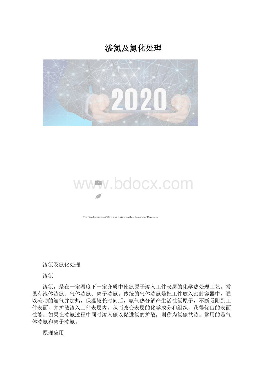 渗氮及氮化处理.docx