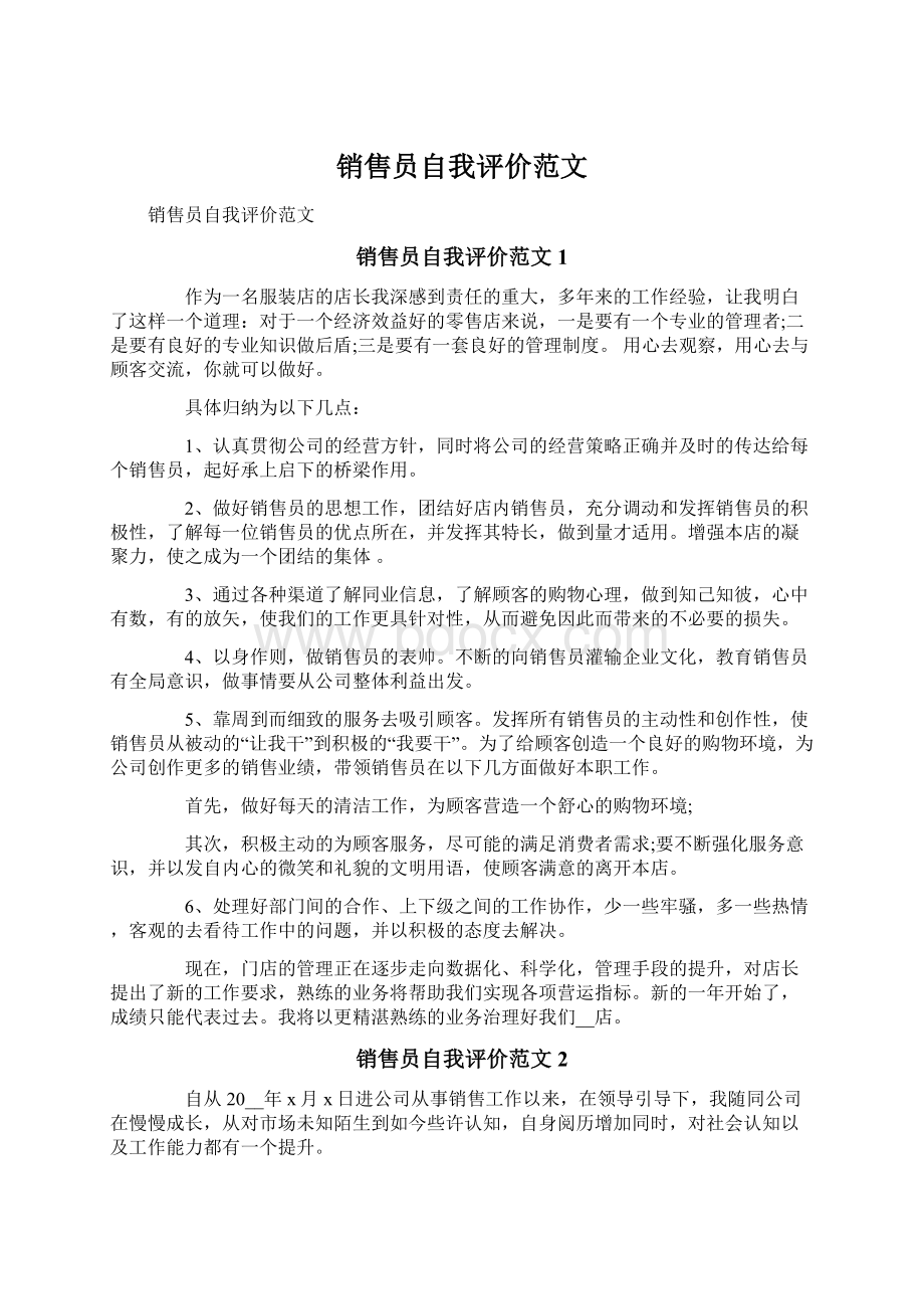 销售员自我评价范文Word格式文档下载.docx_第1页