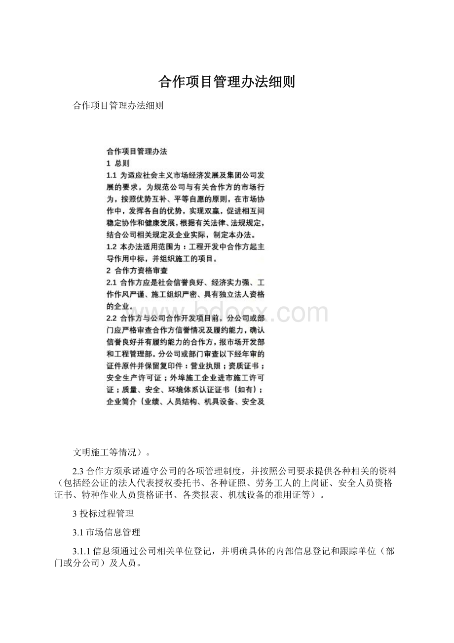 合作项目管理办法细则Word文档格式.docx_第1页