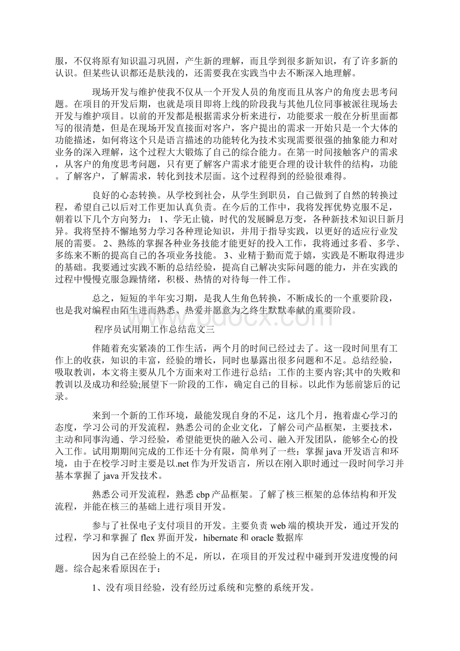 程序员试用期工作总结与计划.docx_第3页