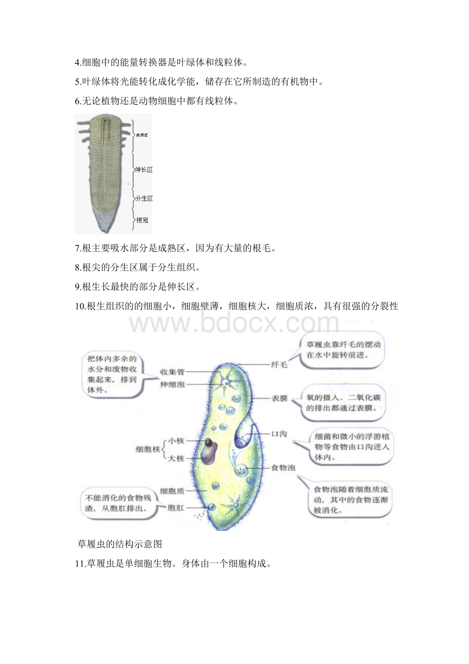 生地会考资料Word文档格式.docx_第2页