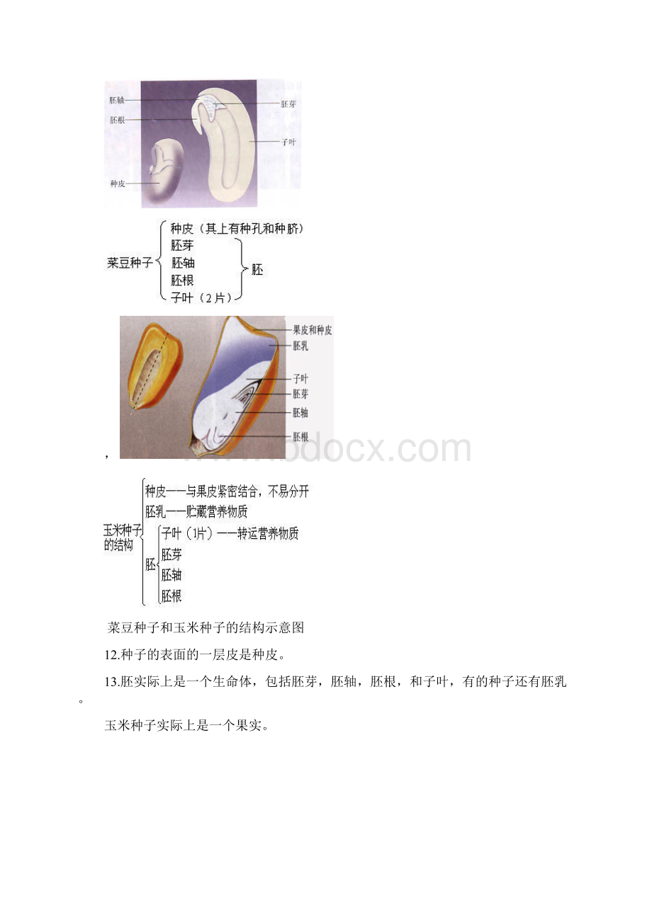 生地会考资料Word文档格式.docx_第3页