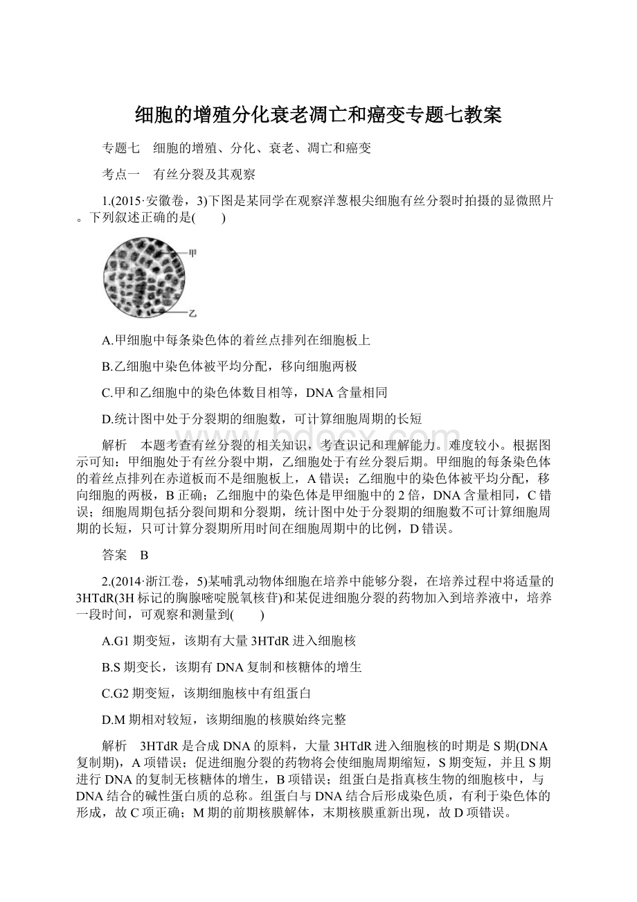 细胞的增殖分化衰老凋亡和癌变专题七教案.docx_第1页