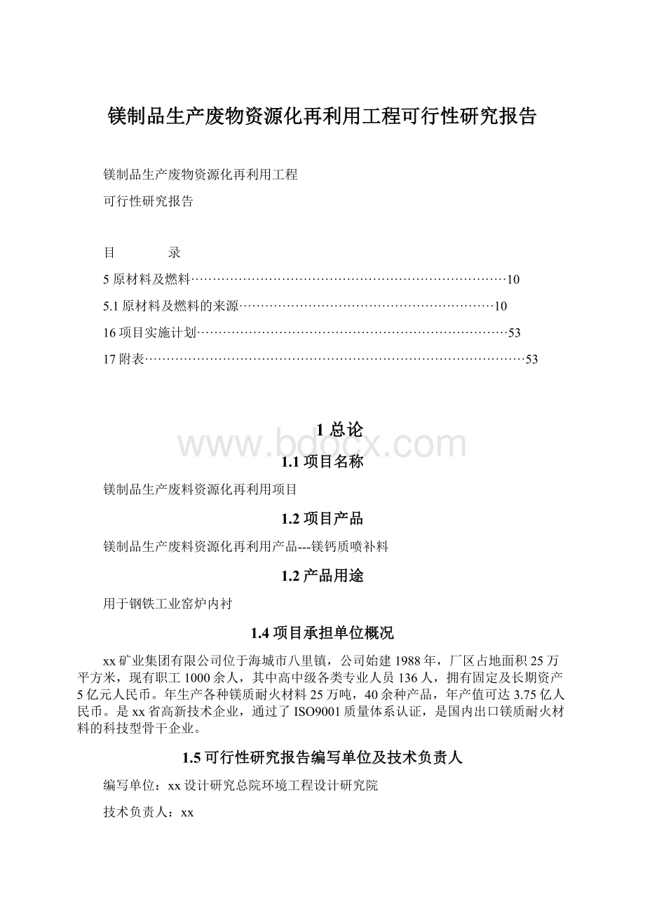 镁制品生产废物资源化再利用工程可行性研究报告.docx_第1页