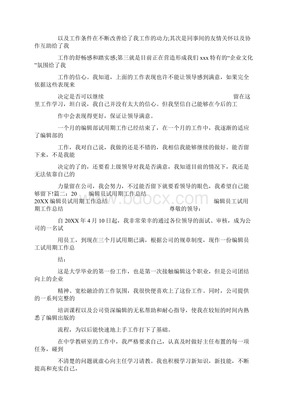 网站编辑试用期工作总结.docx_第3页