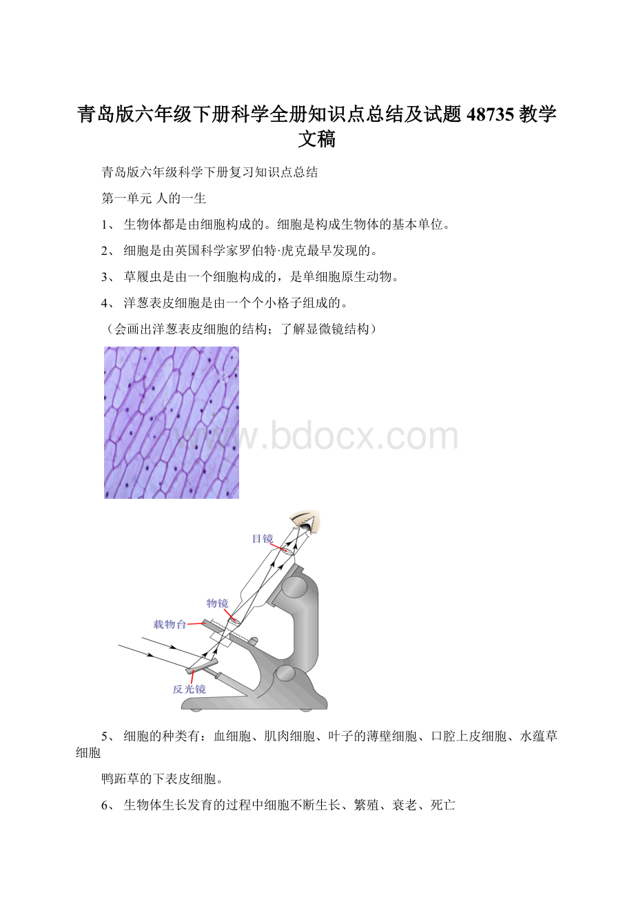 青岛版六年级下册科学全册知识点总结及试题48735教学文稿.docx