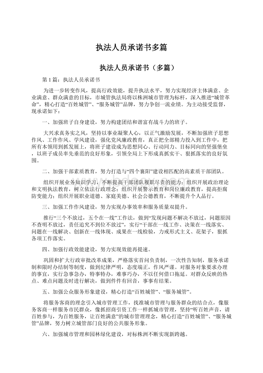 执法人员承诺书多篇Word格式文档下载.docx_第1页