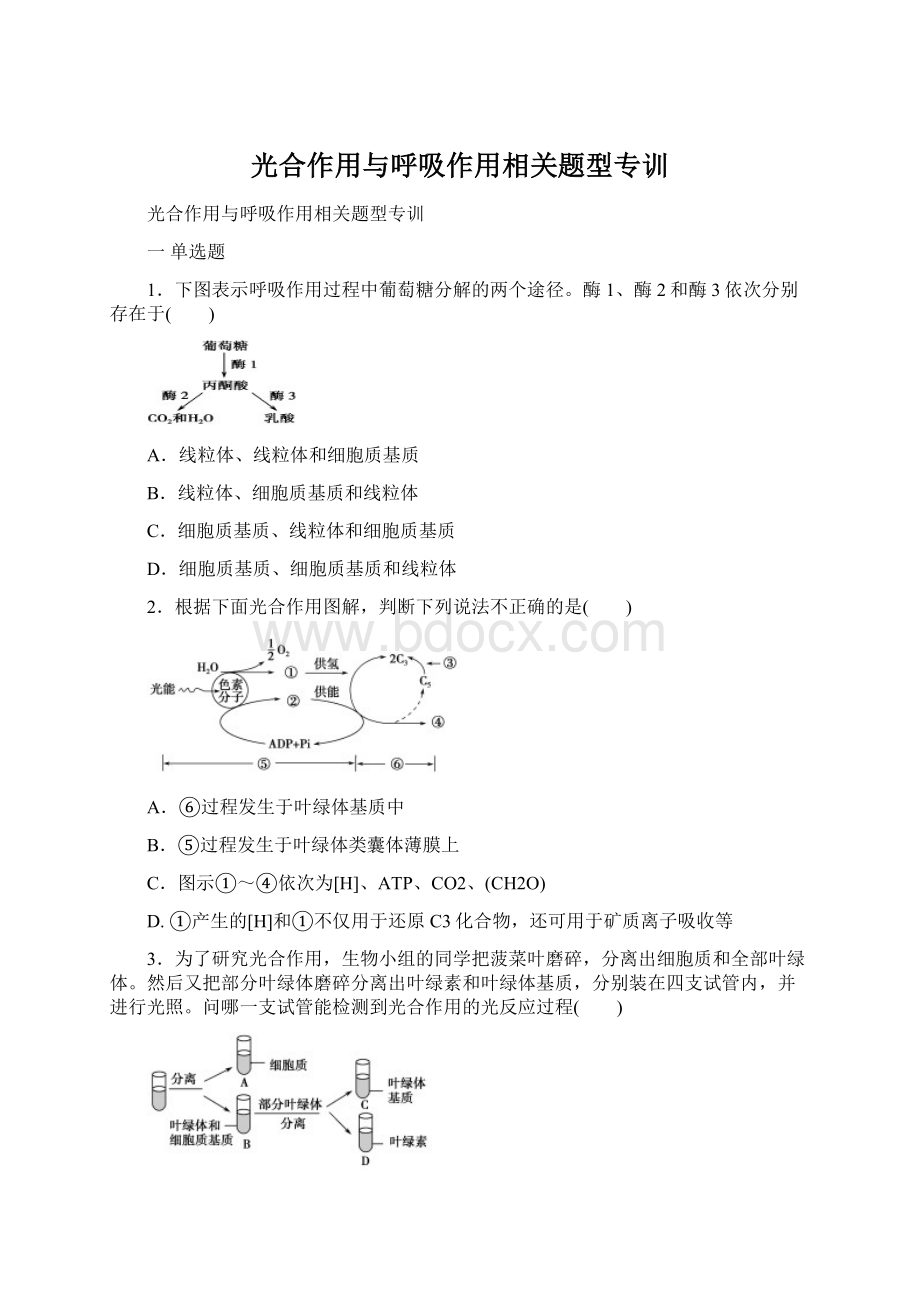 光合作用与呼吸作用相关题型专训.docx_第1页