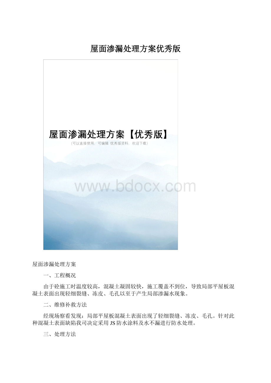 屋面渗漏处理方案优秀版Word格式文档下载.docx