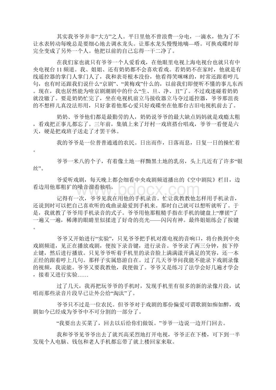 戏迷爷爷作文Word文档下载推荐.docx_第2页