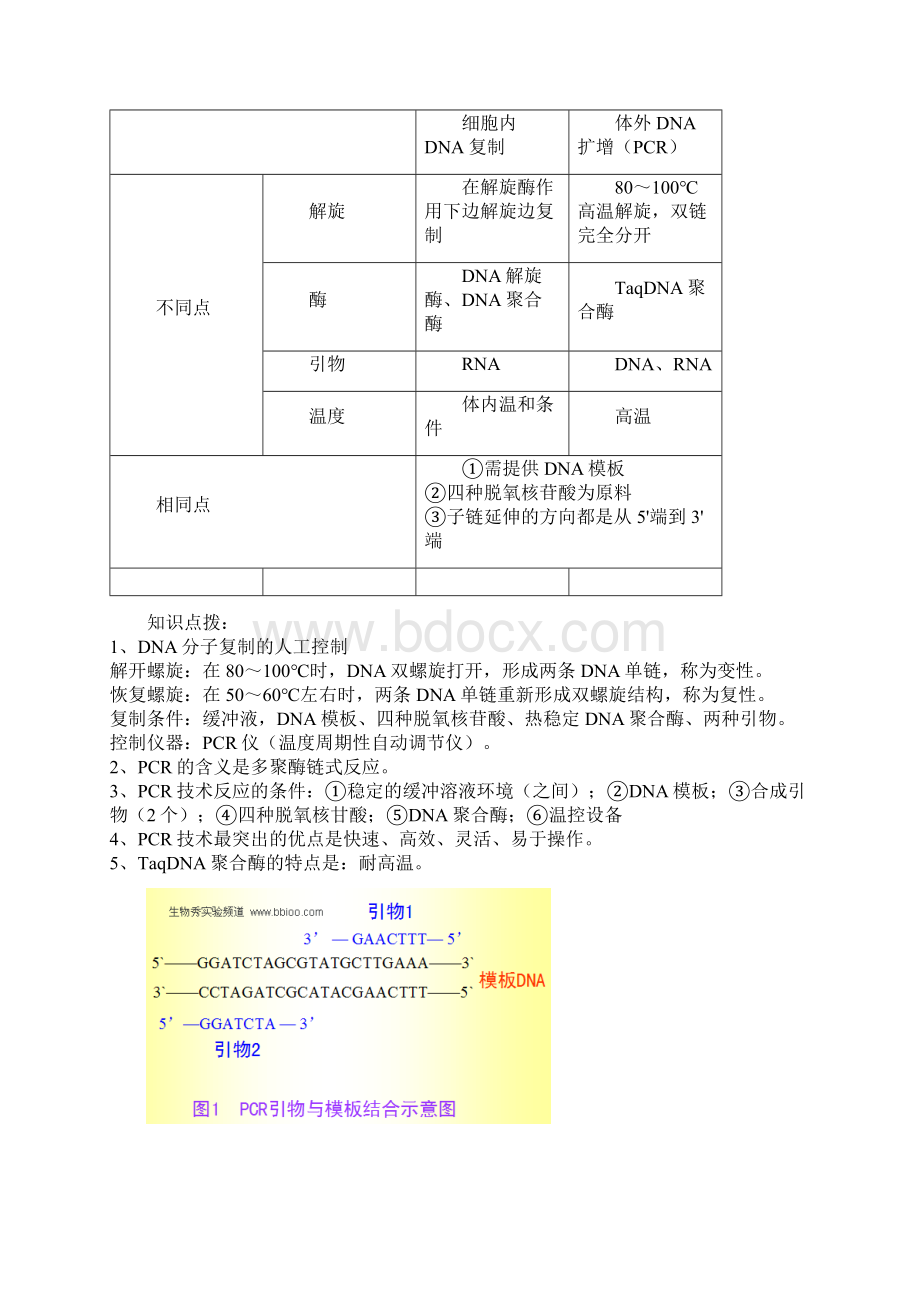 PCR技术及习题.docx_第2页