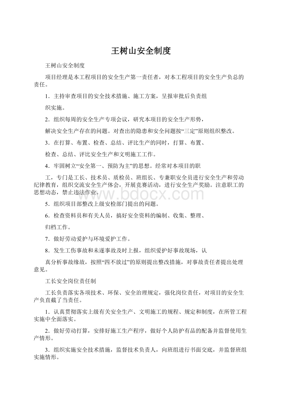 王树山安全制度Word文档下载推荐.docx