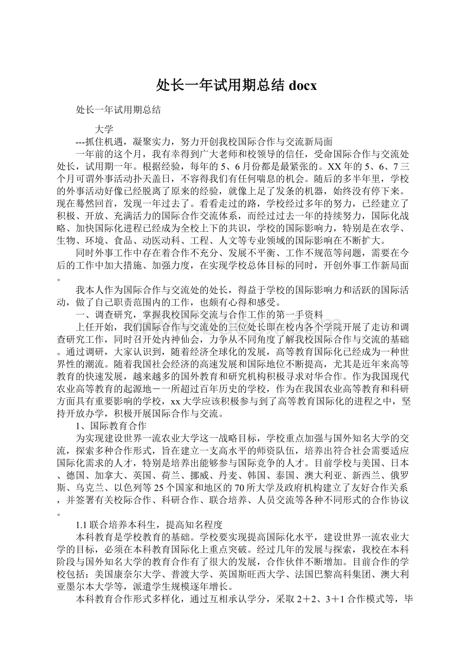 处长一年试用期总结docxWord格式文档下载.docx