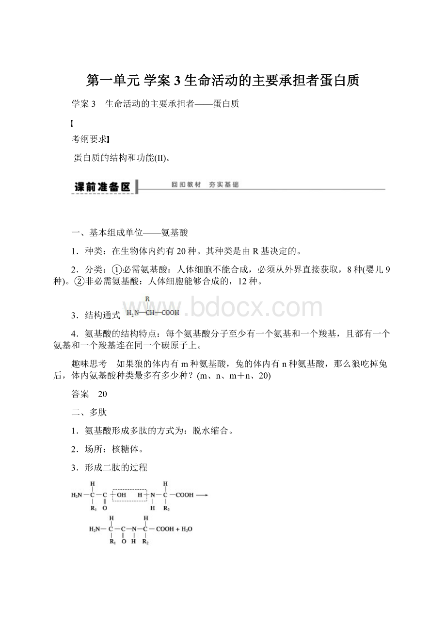 第一单元 学案3 生命活动的主要承担者蛋白质Word下载.docx