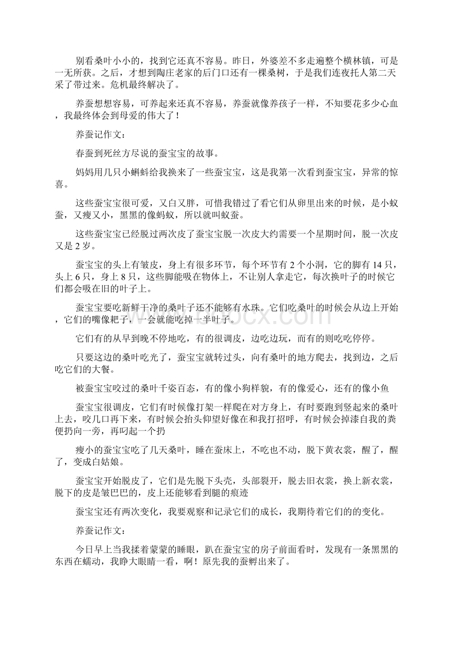 养蚕记作文精选20篇Word文档格式.docx_第2页