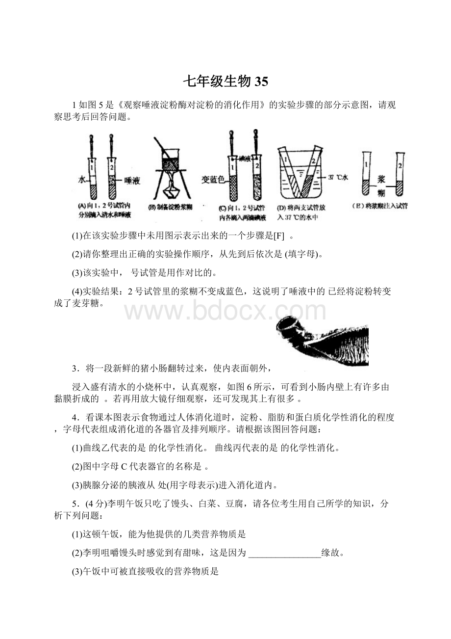 七年级生物35.docx_第1页