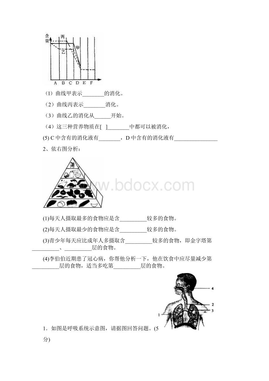 七年级生物35.docx_第3页