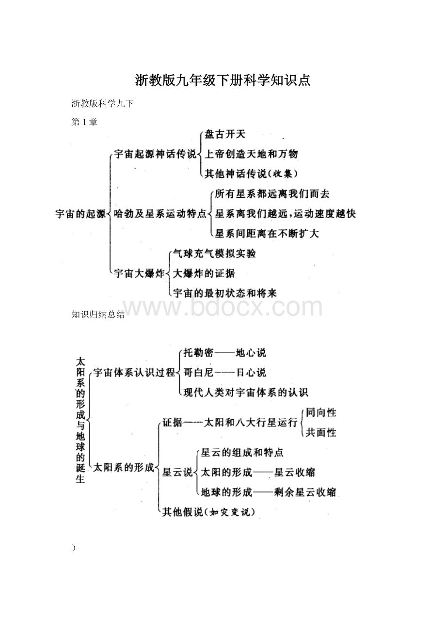 浙教版九年级下册科学知识点Word格式.docx