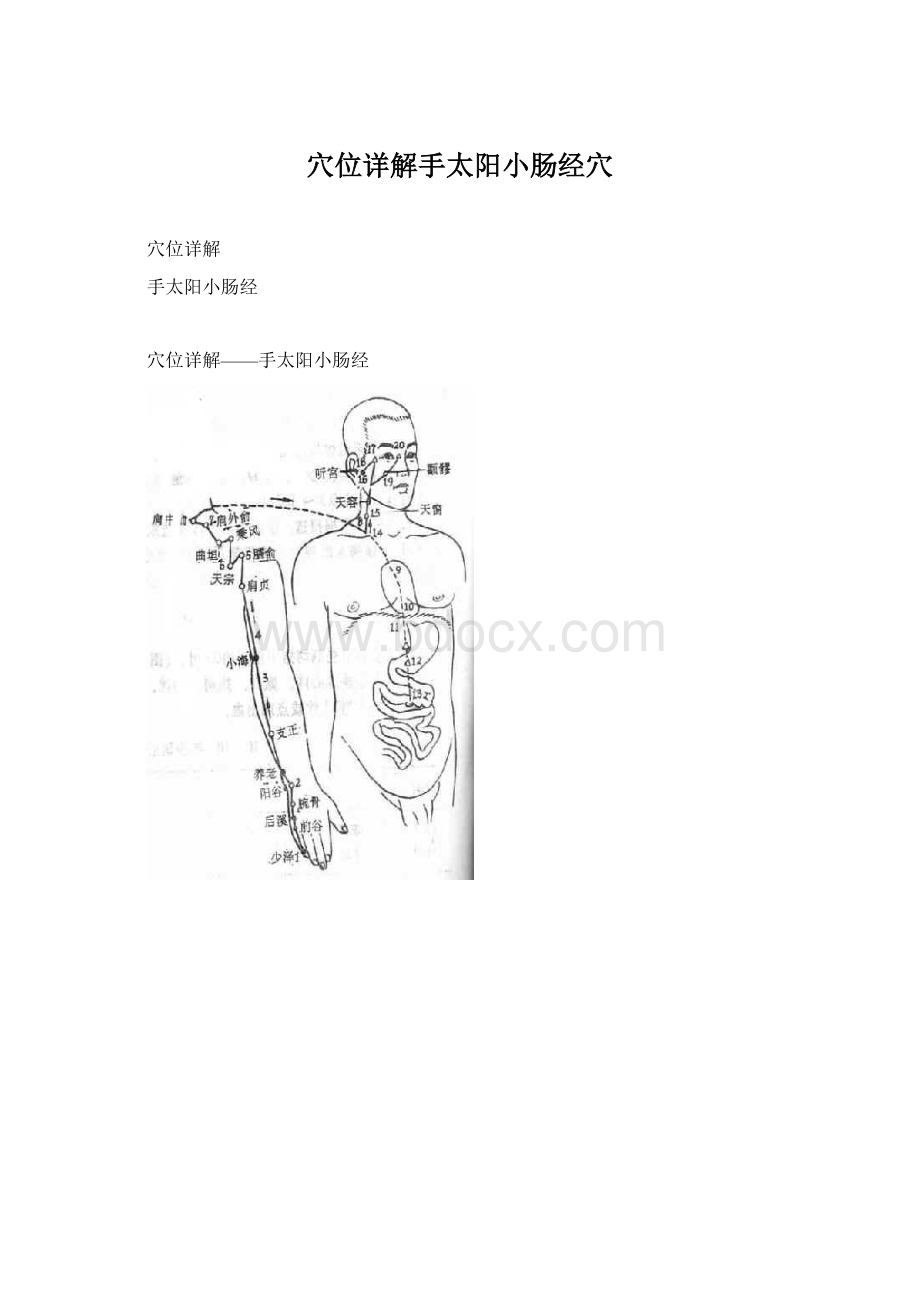 穴位详解手太阳小肠经穴Word文档下载推荐.docx_第1页