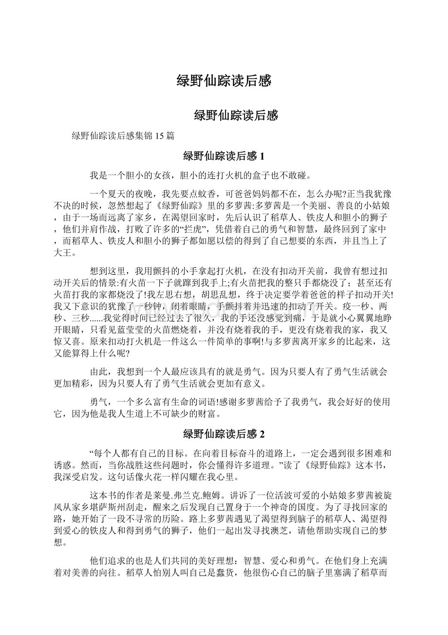 绿野仙踪读后感Word格式文档下载.docx