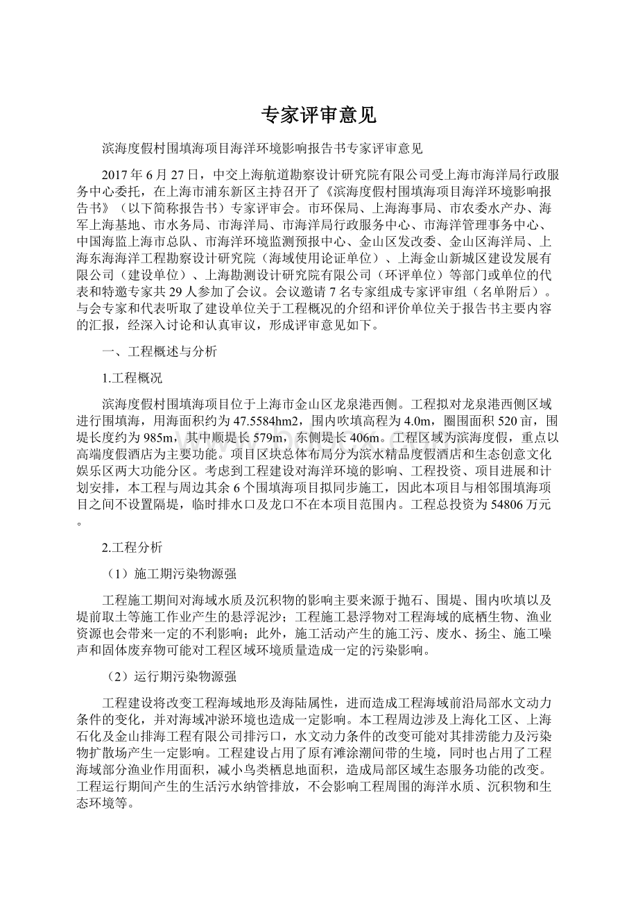 专家评审意见文档格式.docx